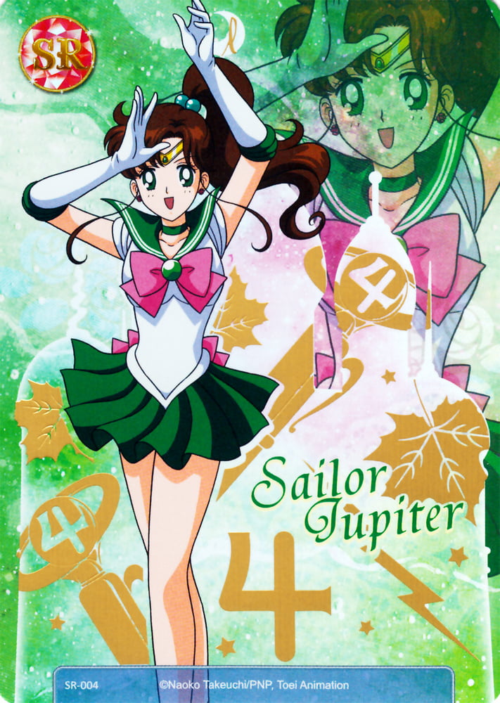 The Female Characters of: Sailor Moon #105782995