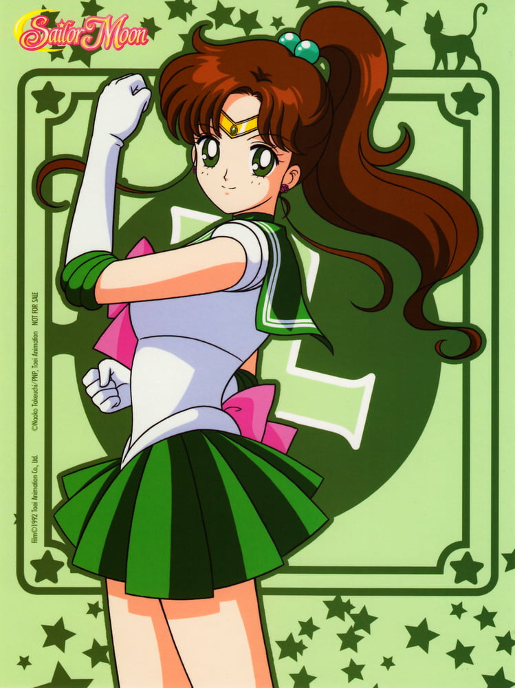 The Female Characters of: Sailor Moon #105782996
