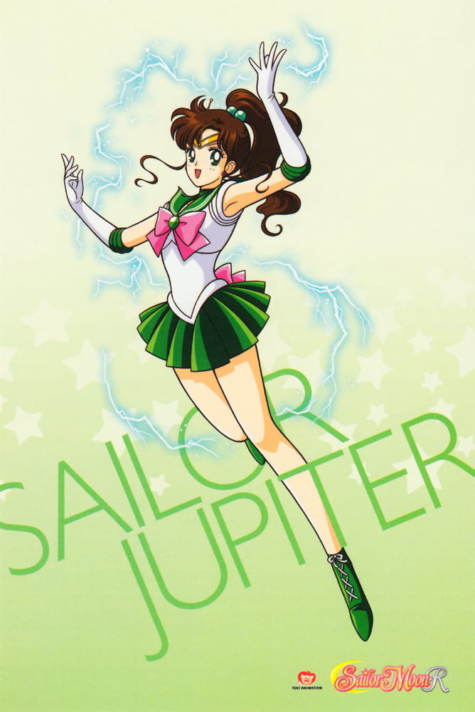 The Female Characters of: Sailor Moon #105782998