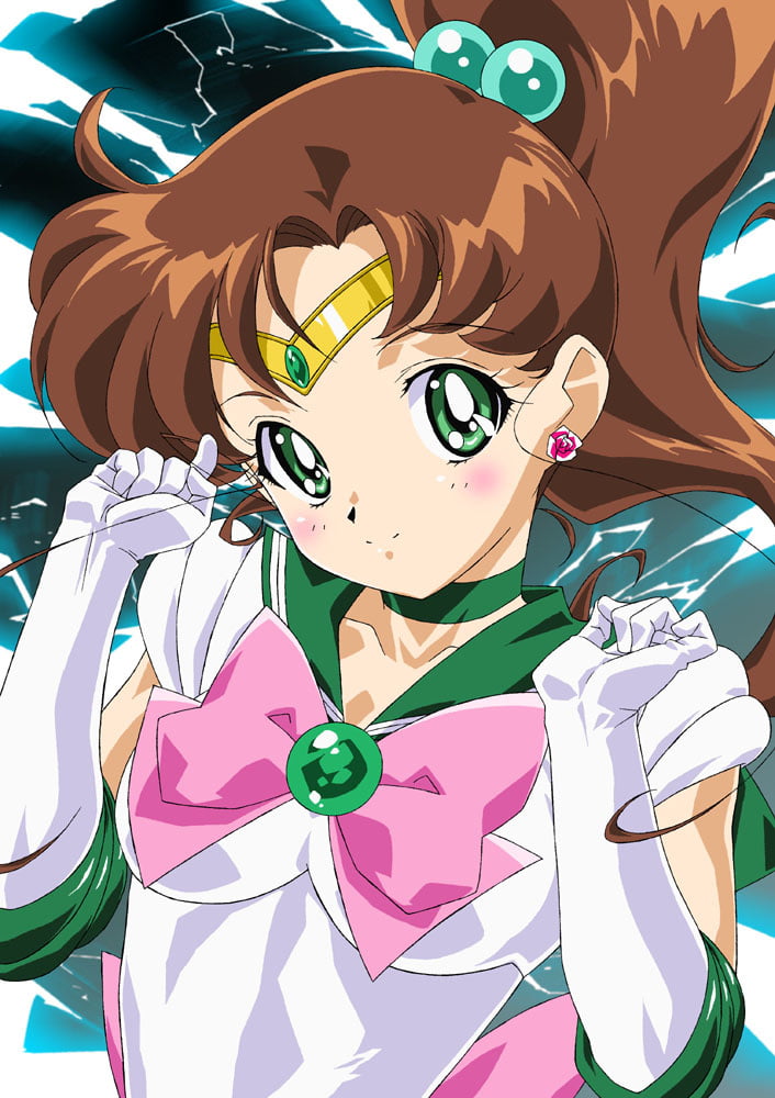 The Female Characters of: Sailor Moon #105783007