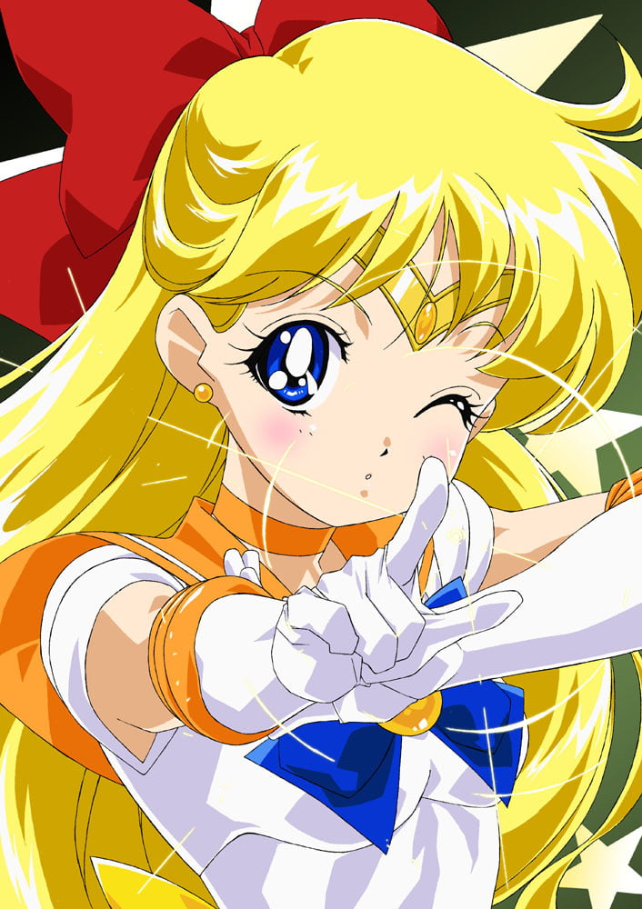 The Female Characters of: Sailor Moon #105783149
