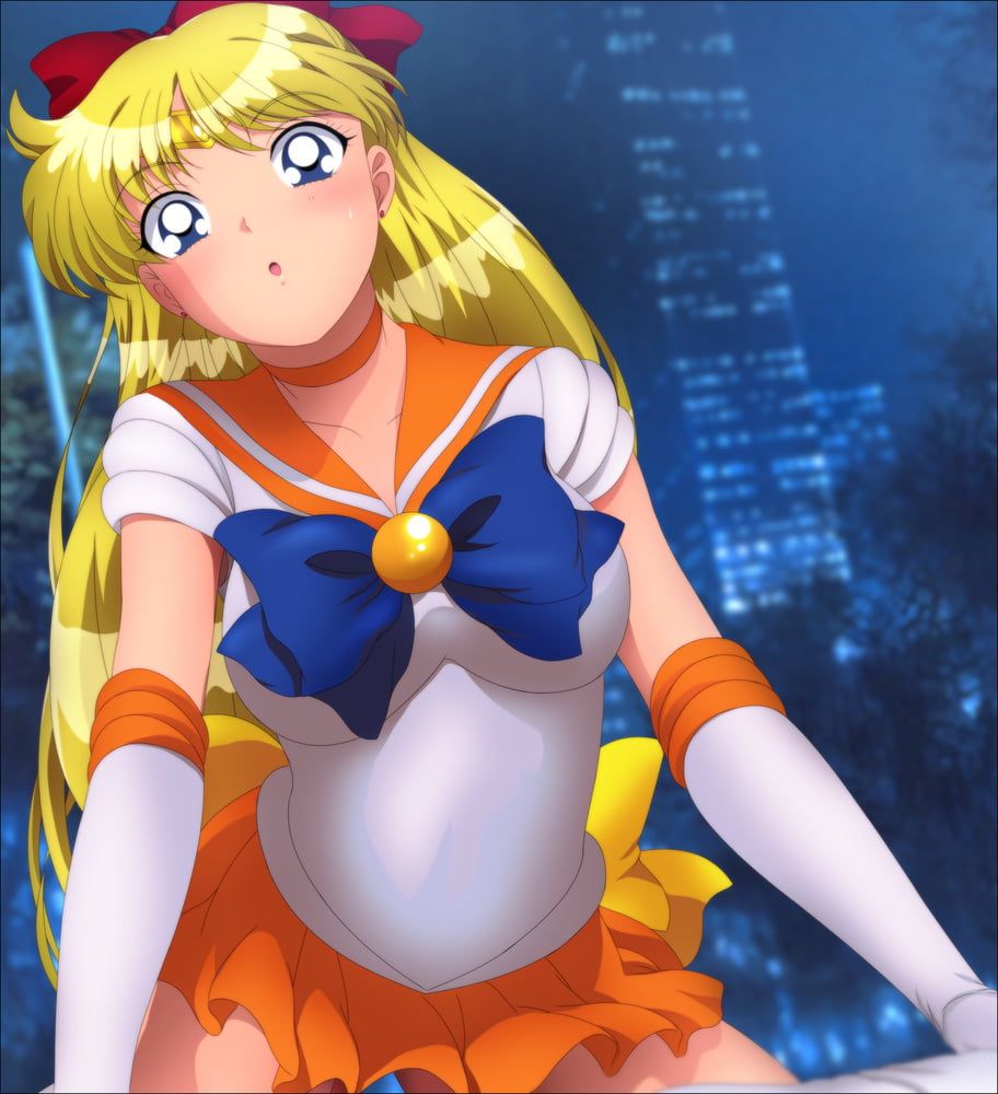 The Female Characters of: Sailor Moon #105783151