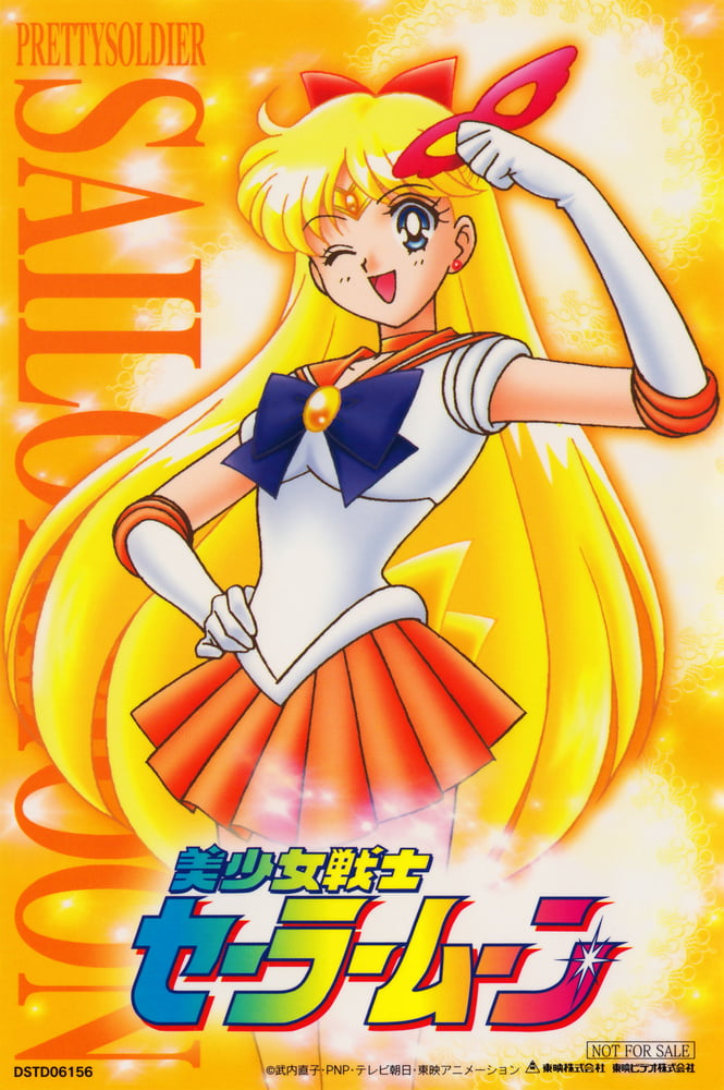 The Female Characters of: Sailor Moon #105783164