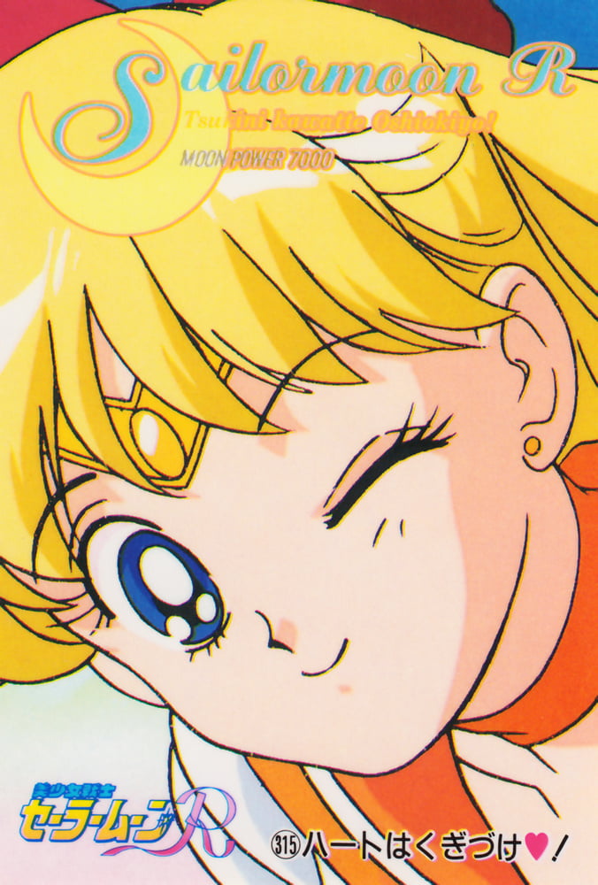 The Female Characters of: Sailor Moon #105783166