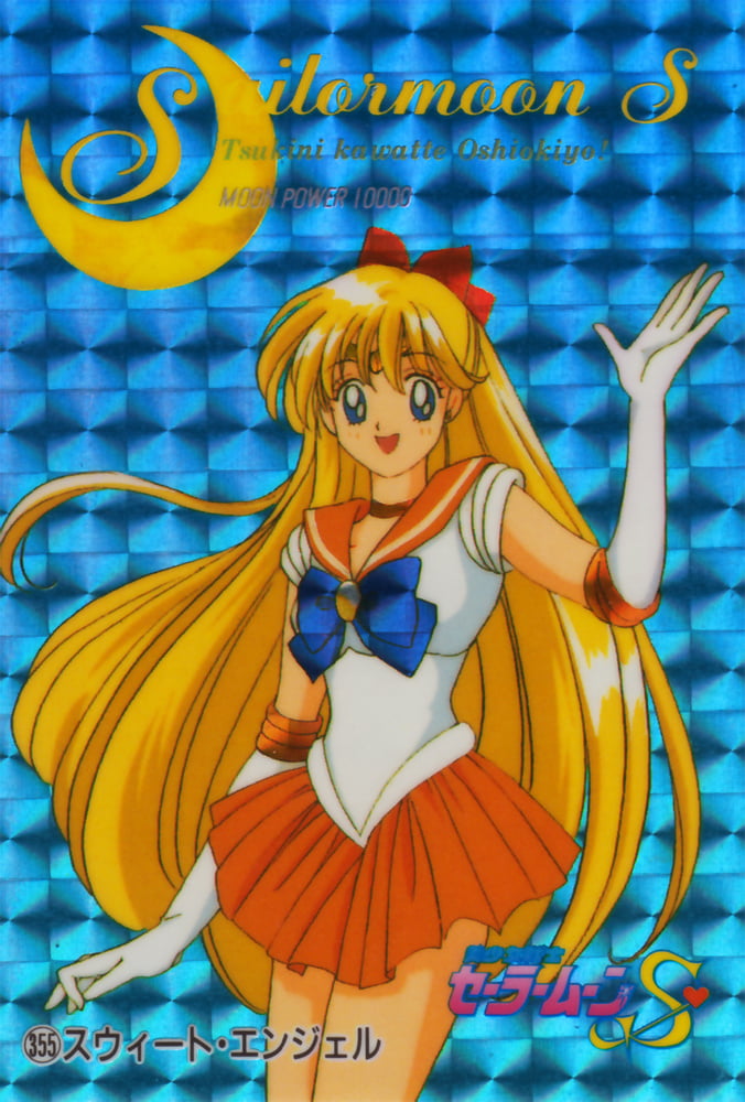 The Female Characters of: Sailor Moon #105783168