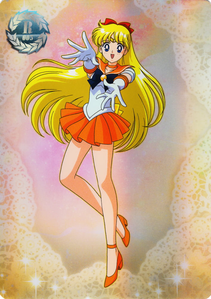 The Female Characters of: Sailor Moon #105783172
