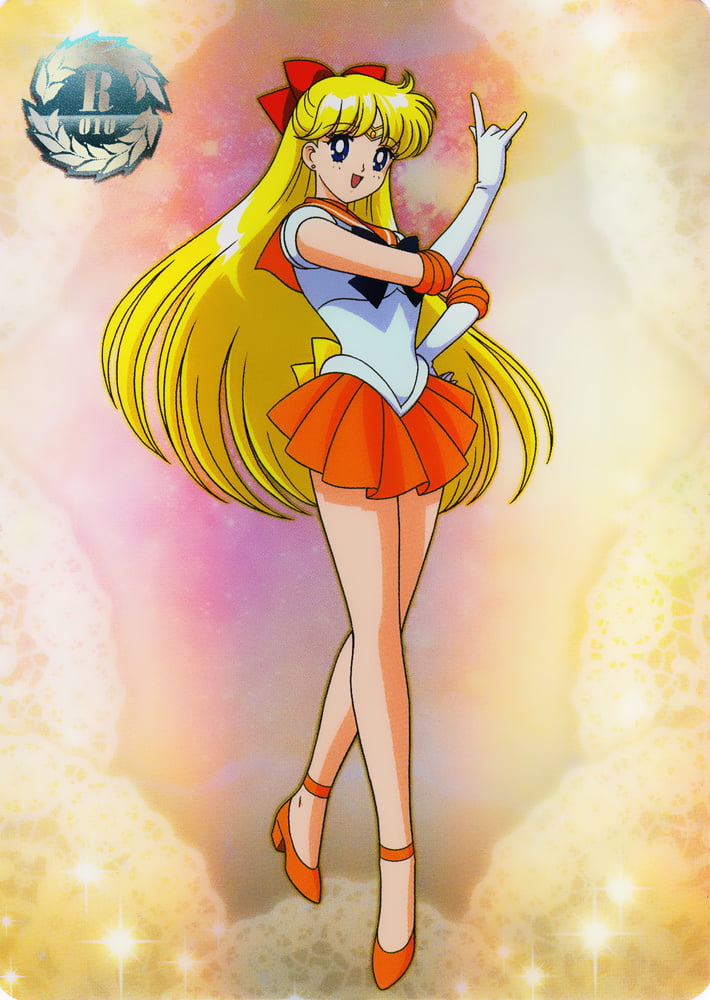 The Female Characters of: Sailor Moon #105783174