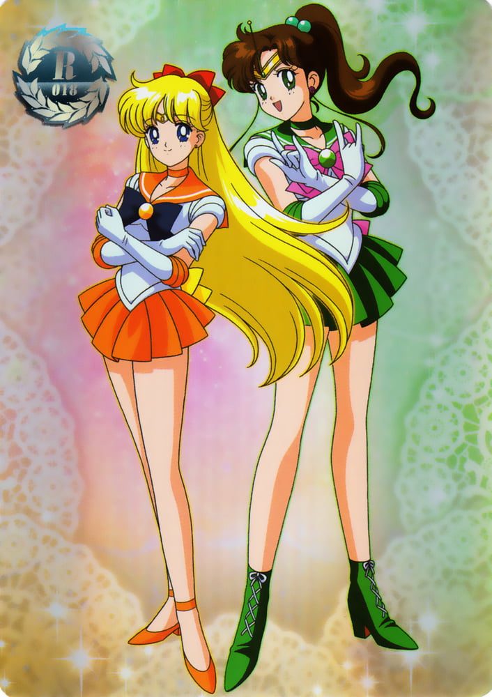 The Female Characters of: Sailor Moon #105783175