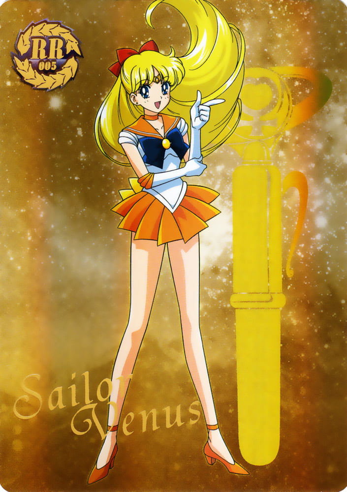 The Female Characters of: Sailor Moon #105783176