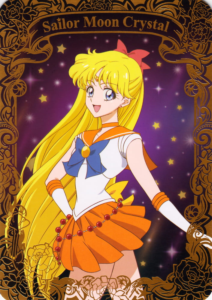 The Female Characters of: Sailor Moon #105783177