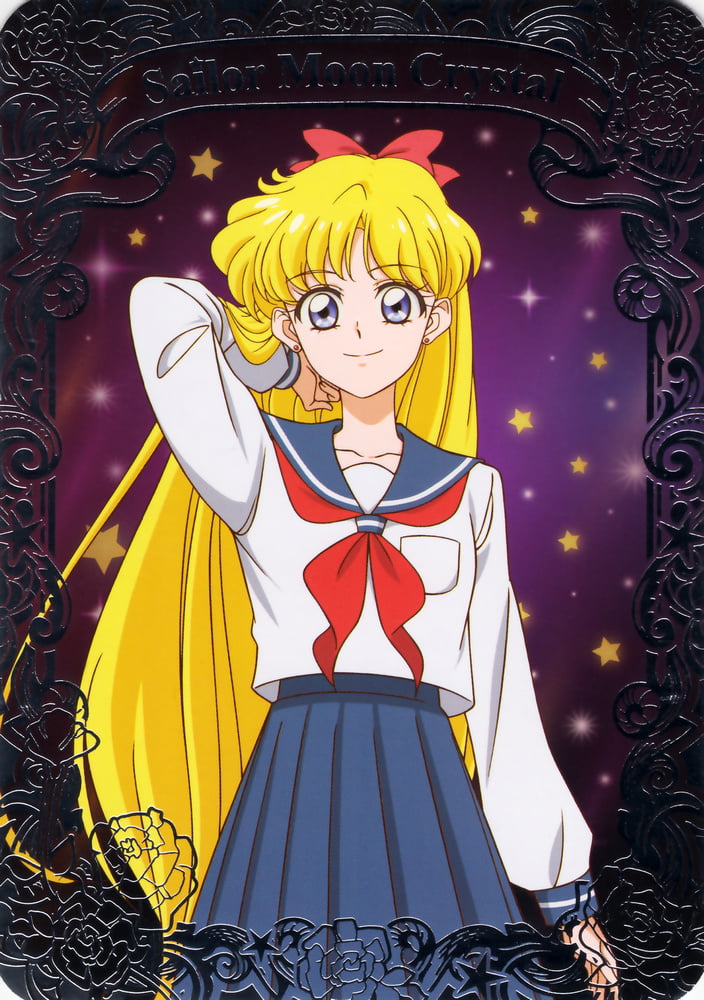The Female Characters of: Sailor Moon #105783178