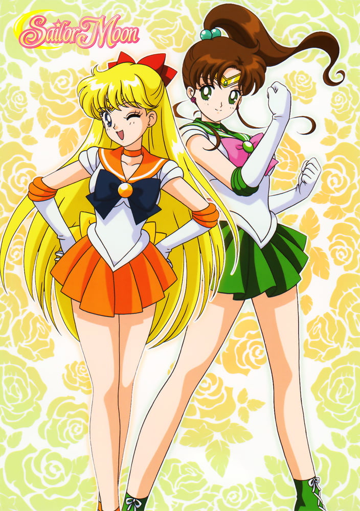 The Female Characters of: Sailor Moon #105783187