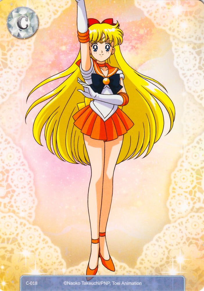 The Female Characters of: Sailor Moon #105783189