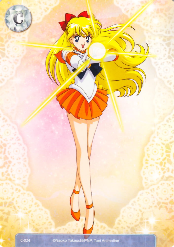 The Female Characters of: Sailor Moon #105783191