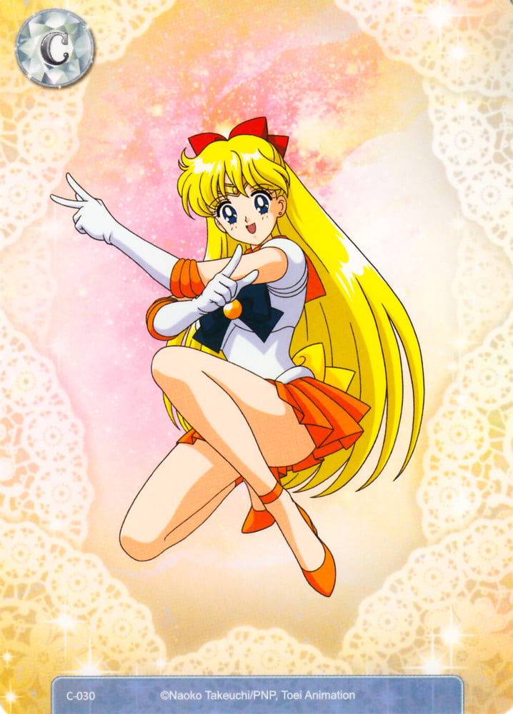 The Female Characters of: Sailor Moon #105783193