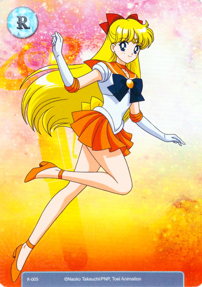 The Female Characters of: Sailor Moon #105783195
