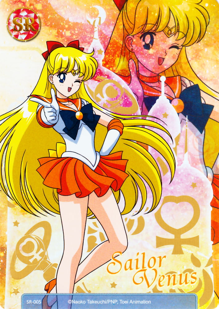 The Female Characters of: Sailor Moon #105783197