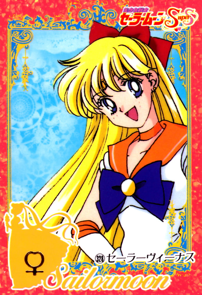 The Female Characters of: Sailor Moon #105783198