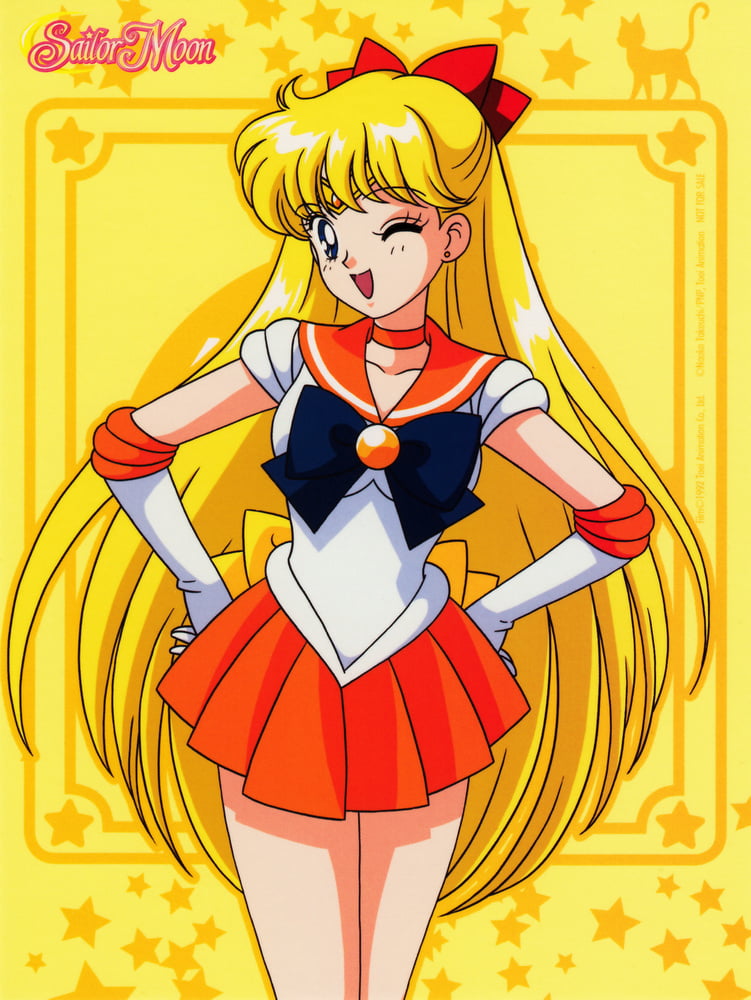 The Female Characters of: Sailor Moon #105783200