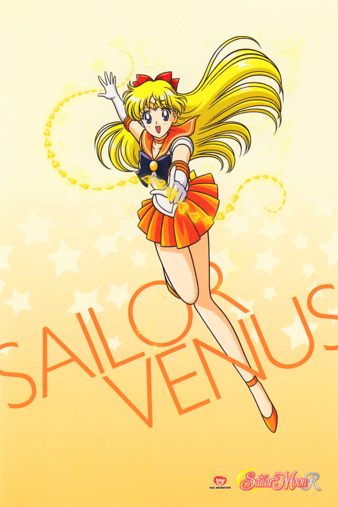 The Female Characters of: Sailor Moon #105783202