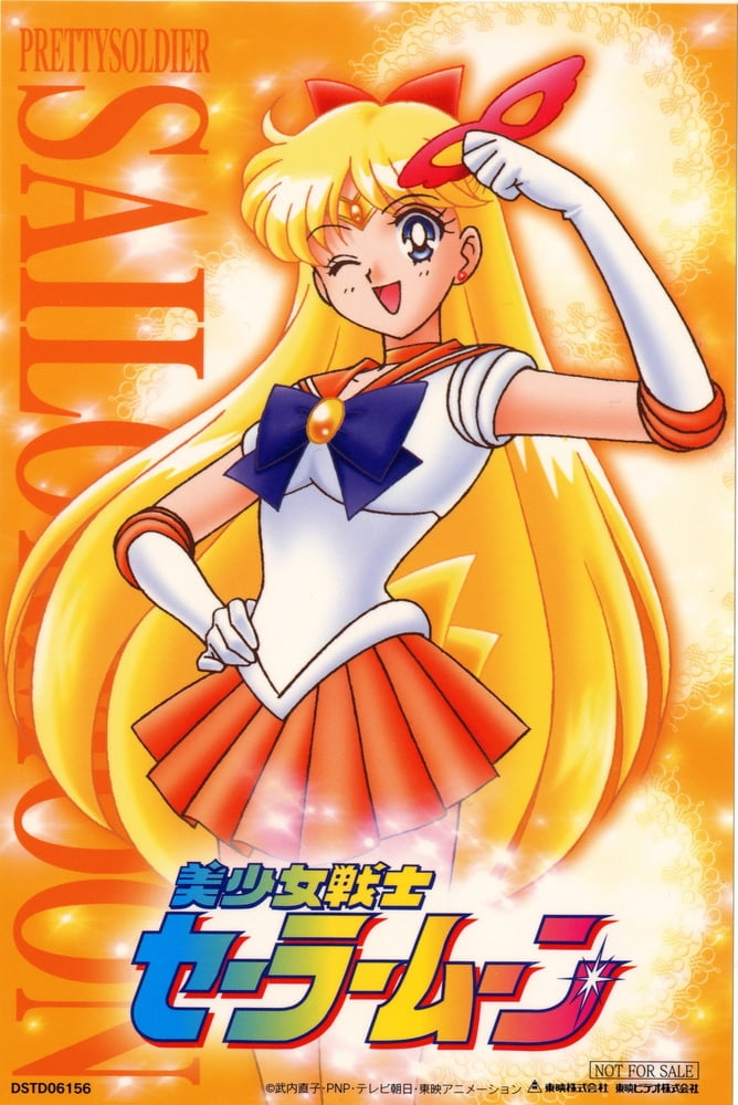 The Female Characters of: Sailor Moon #105783204
