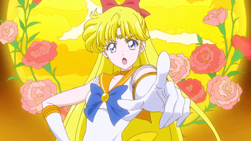 The Female Characters of: Sailor Moon #105783234