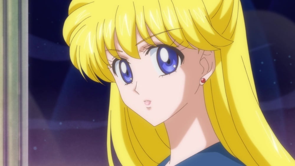 The Female Characters of: Sailor Moon #105783238