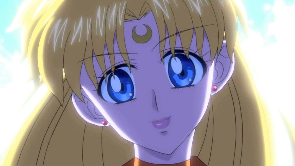 The Female Characters of: Sailor Moon #105783242