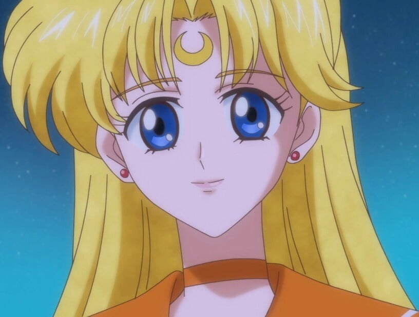 The Female Characters of: Sailor Moon #105783243