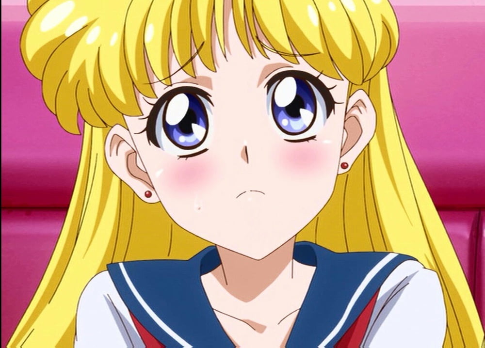 The Female Characters of: Sailor Moon #105783248