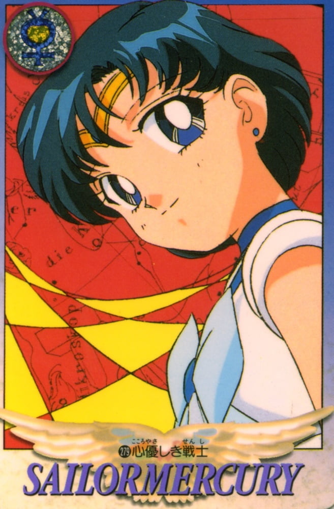 The Female Characters of: Sailor Moon #105783295