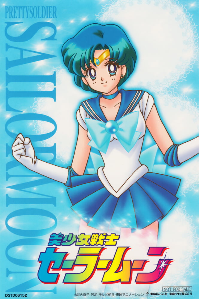 The Female Characters of: Sailor Moon #105783296