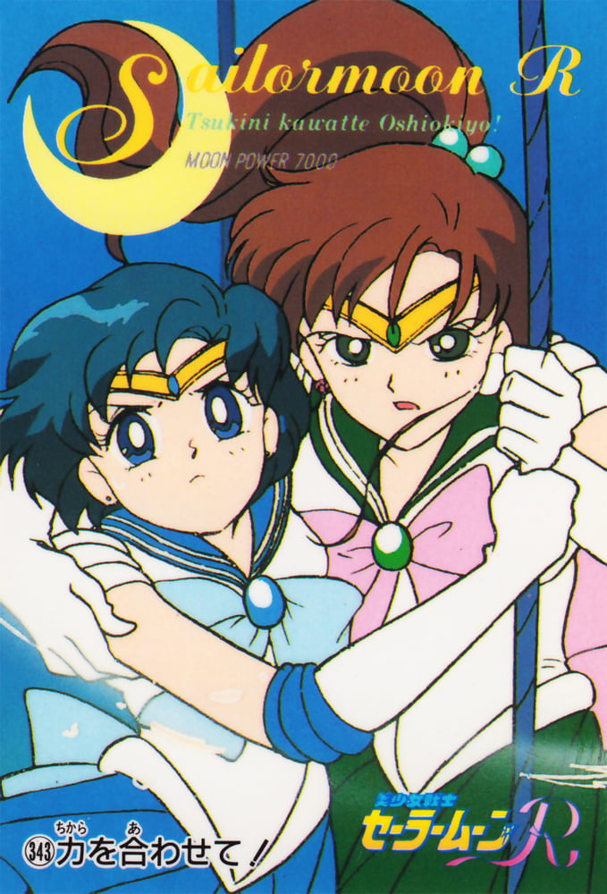 The Female Characters of: Sailor Moon #105783298
