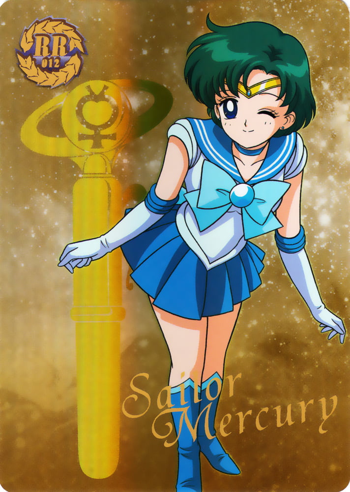 The Female Characters of: Sailor Moon #105783303