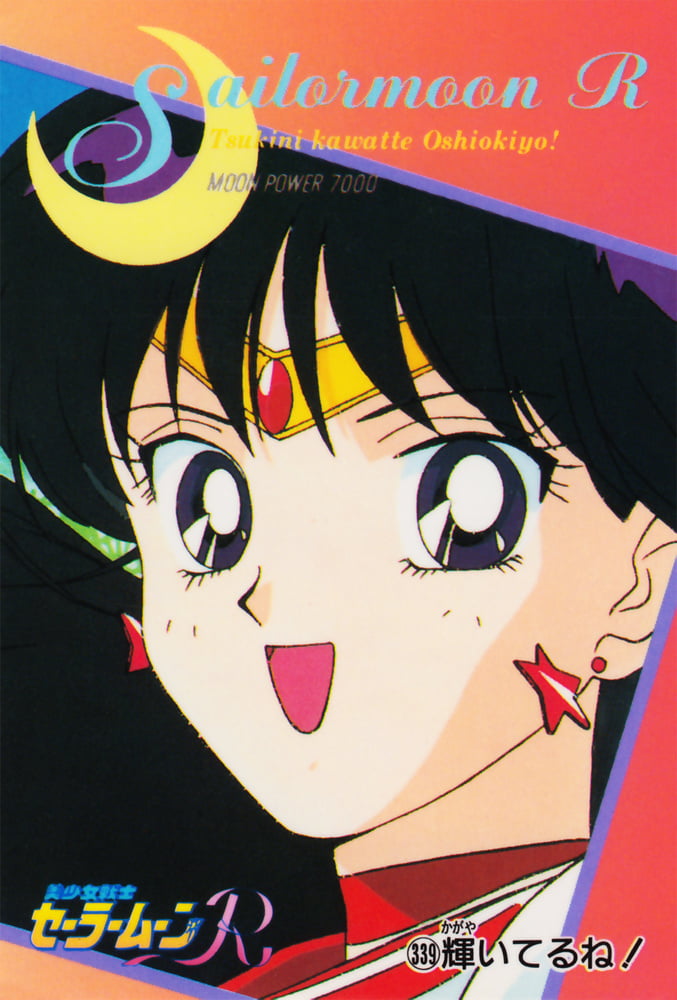 The Female Characters of: Sailor Moon #105783390