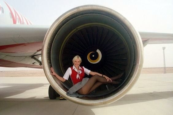 stewardess ooppss tights pantyhose #88209379