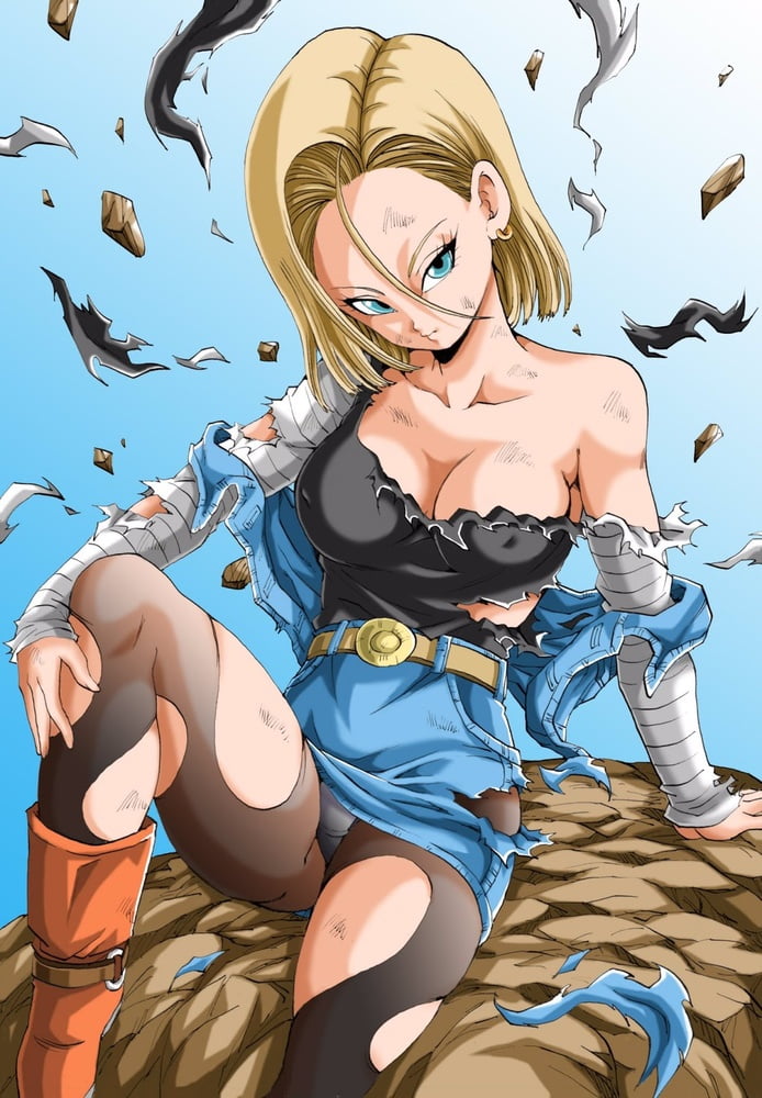 Android 18 Sammlung
 #93350162