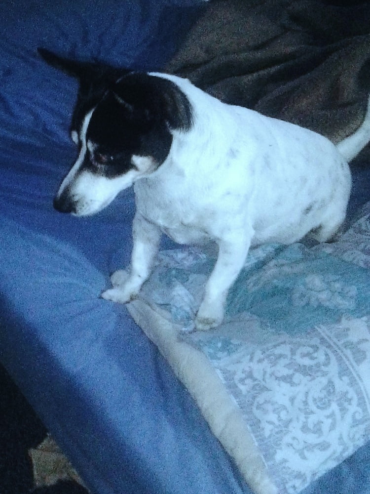 Ich bin bereit für dich
 #97388864