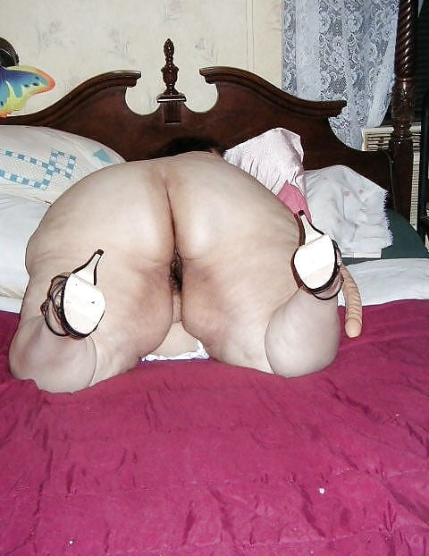 Marranas obesas #100250868