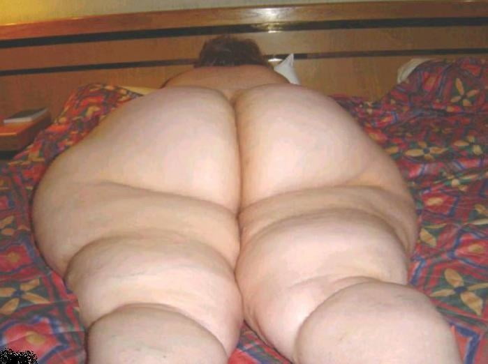 Marranas obesas #100251031