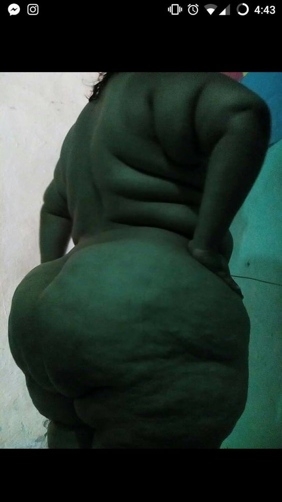 Marranas obesas #100251701