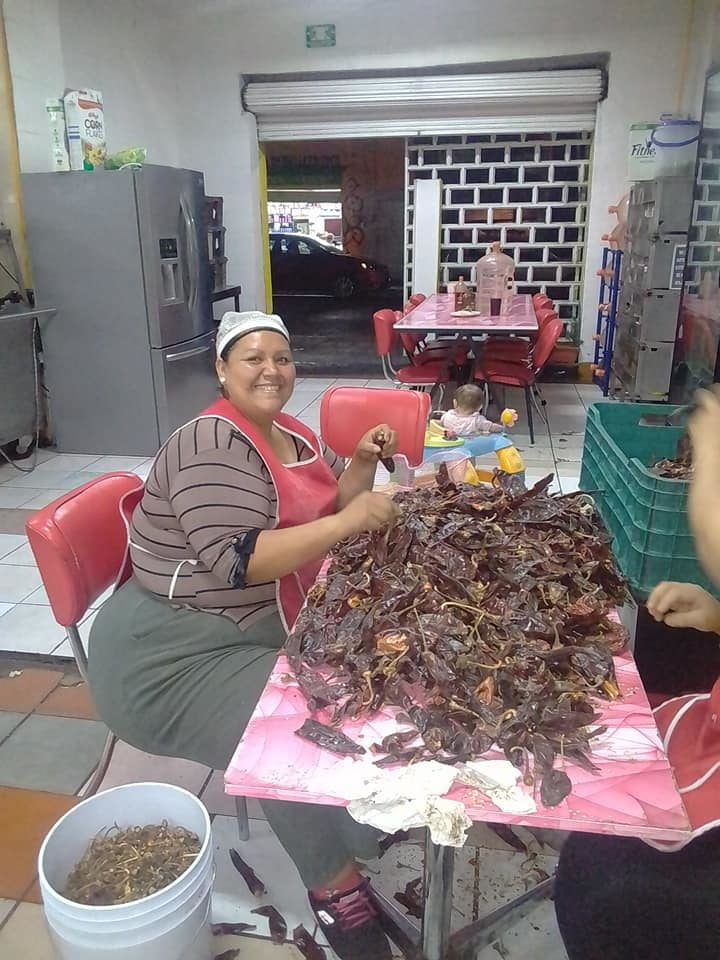 Marranas obesas #100251758
