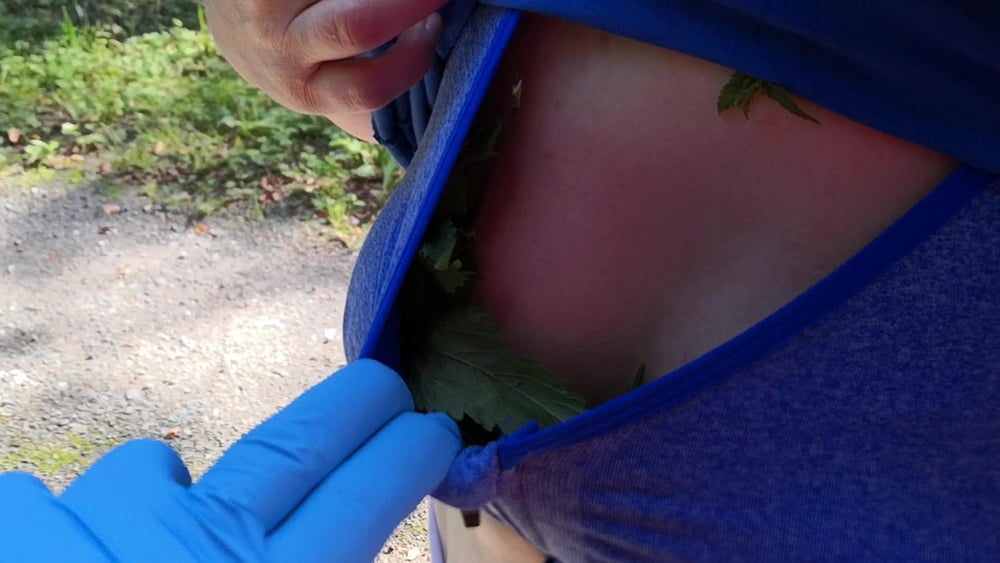 Put some nettles in my bra #106636008