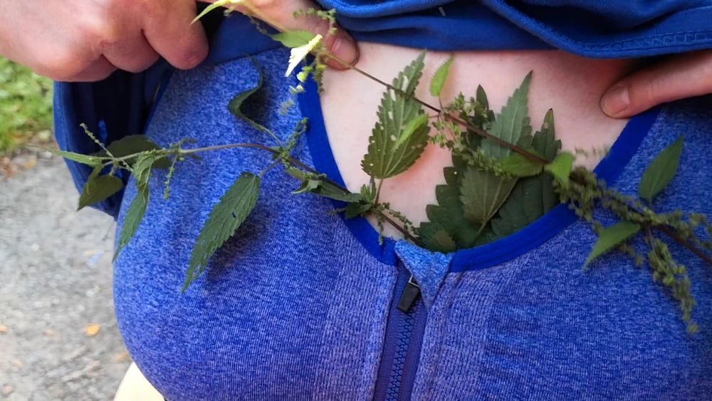 Put some nettles in my bra #106636014