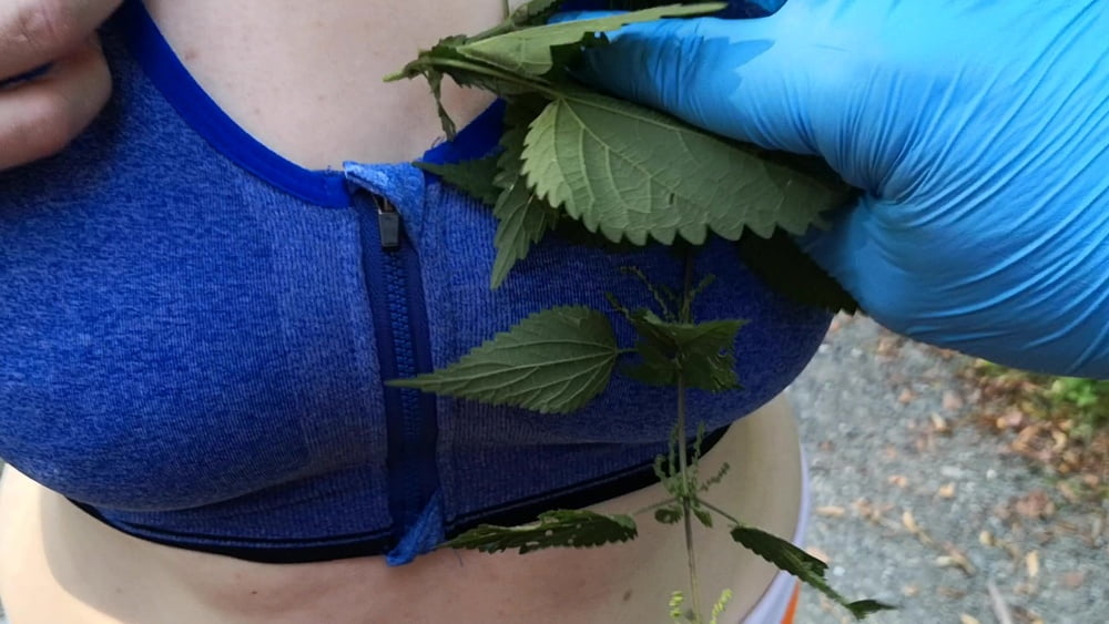 Put some nettles in my bra #106636015