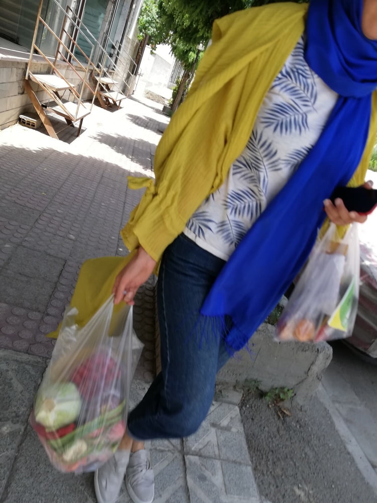 Medium tit (iran) 2
 #87529667