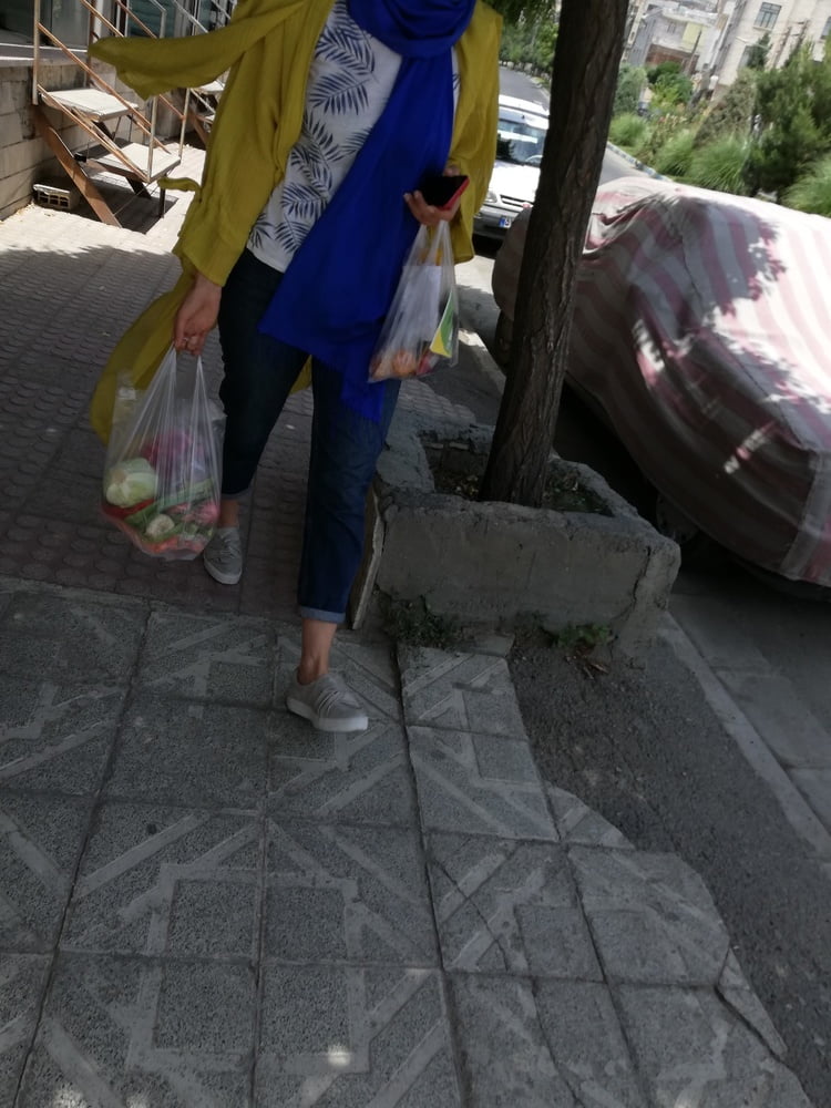 Medium tit (iran) 2
 #87529670