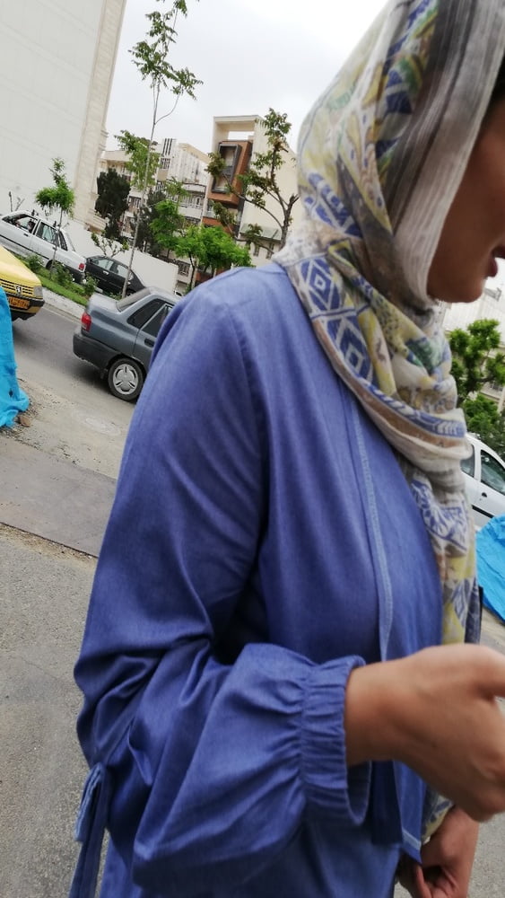 Medium tit (iran) 2
 #87529673