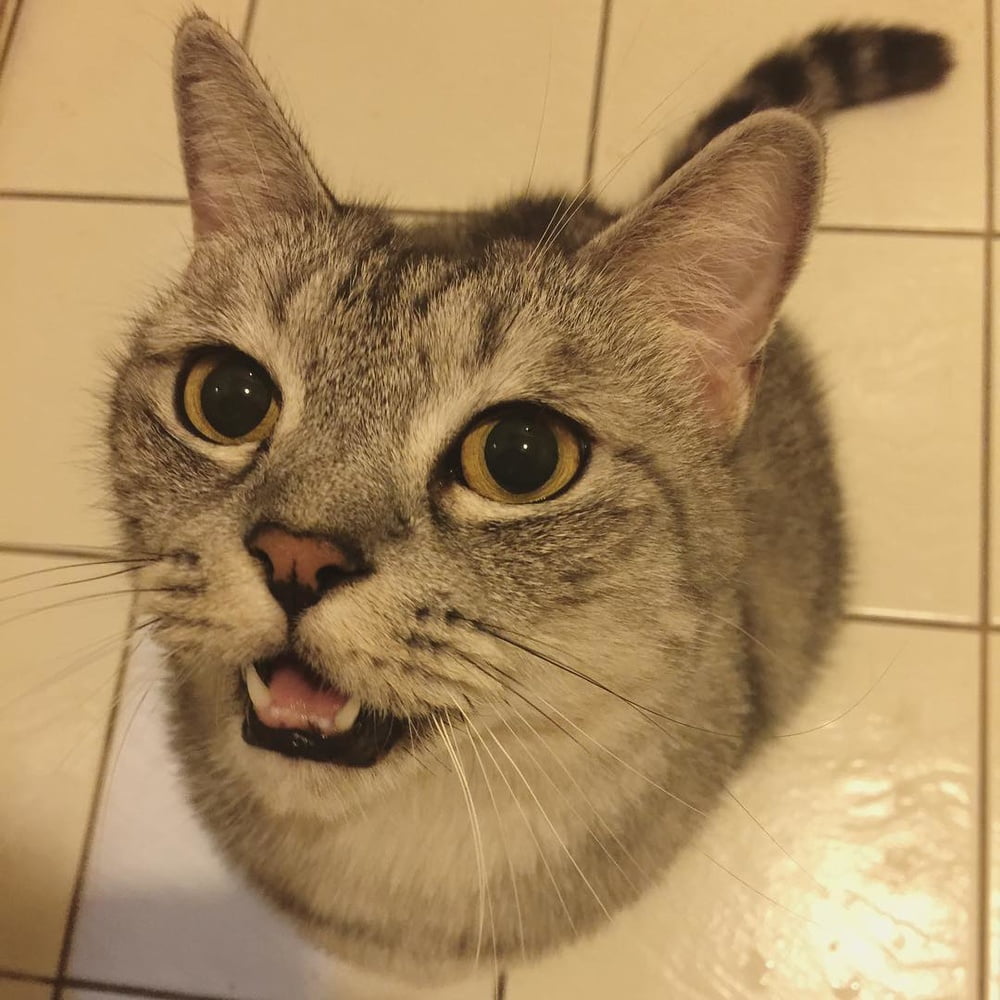 Insta babe 26
 #101074779