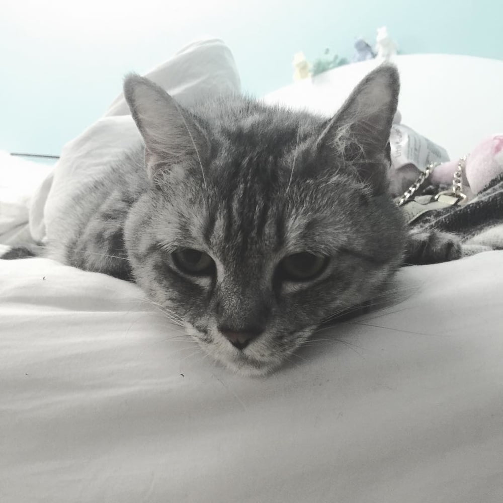 Insta babe 26
 #101074804